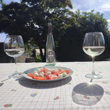 Villa Verde Villa